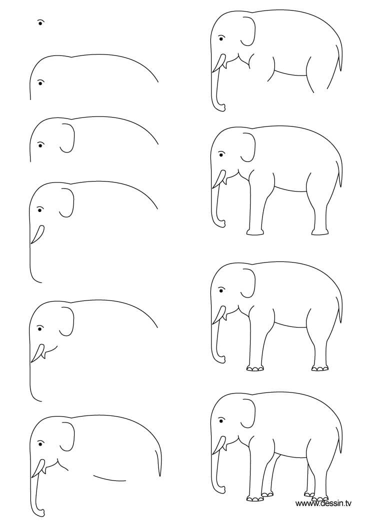 hình vẽ chon voi đơn giản