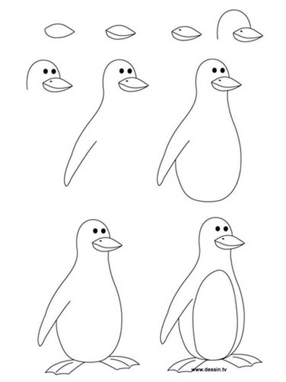 Vẽ chim cánh cục